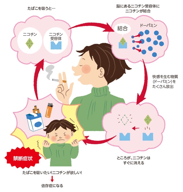 ニコチン依存症のイメージ写真